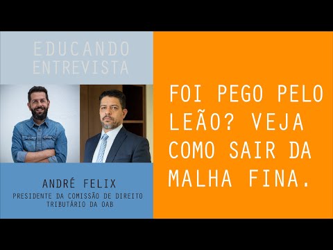 Foi pego pelo leão da receita federal? Veja como sair da malha fina #421