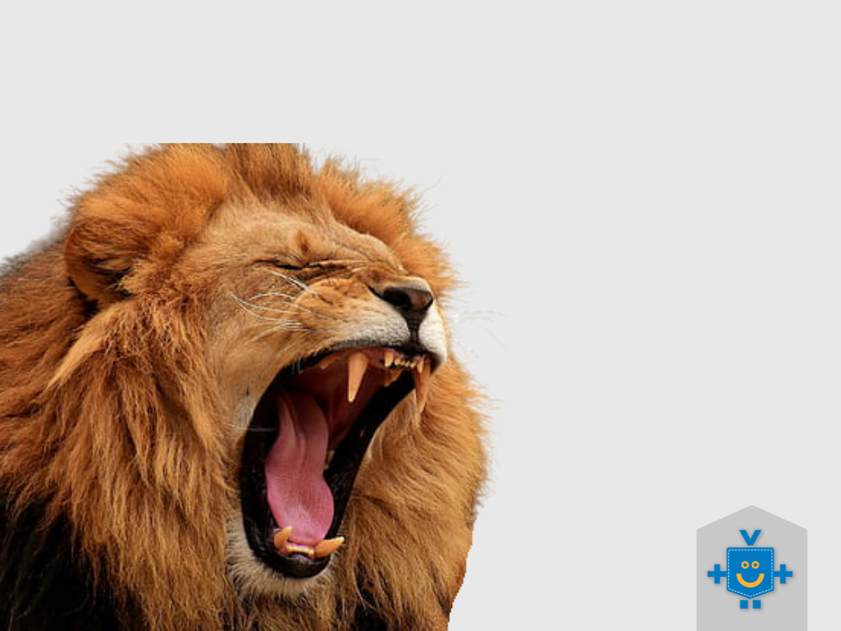 declaração imposto de renda